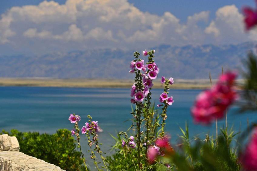 Haus in Pinezići mit privatem Pool - foto 7