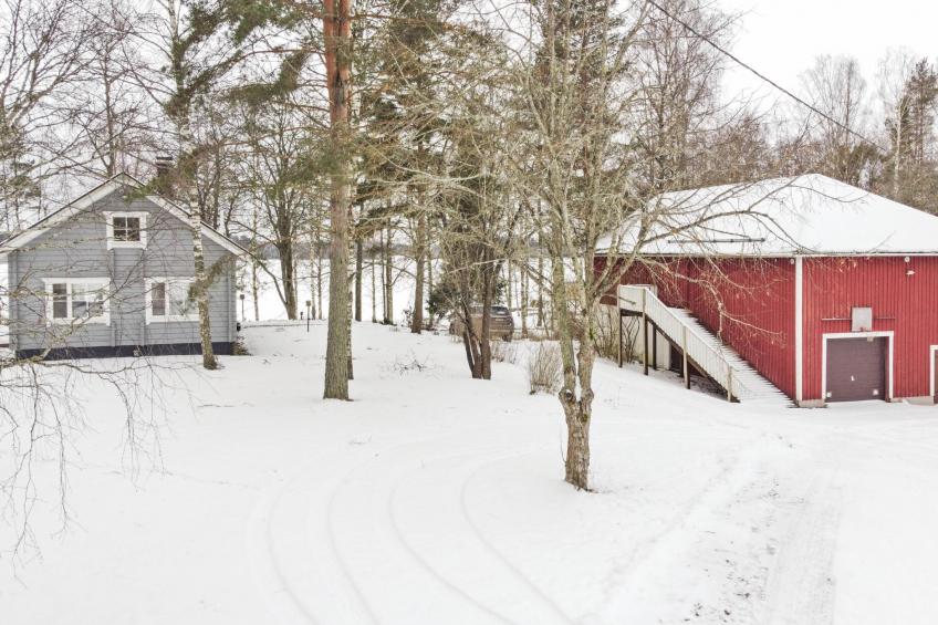 Aurinko vanaja - foto 25