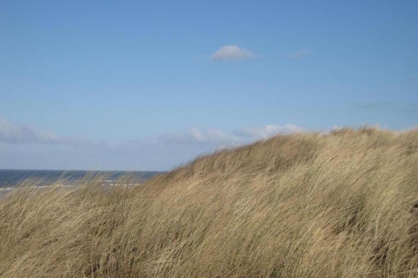 Ferienwohnung Oostkapelle Zeeland - foto 29