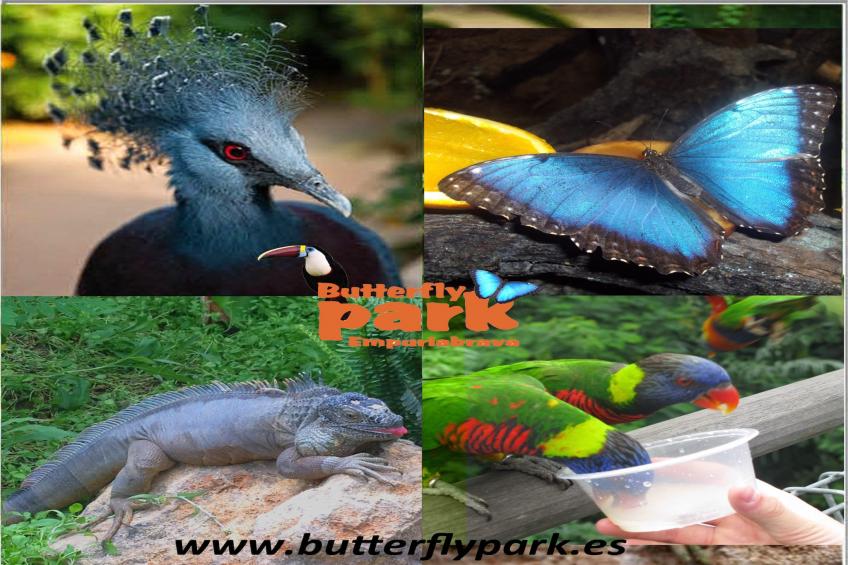 1008 MILENI 50m Playa - foto 39