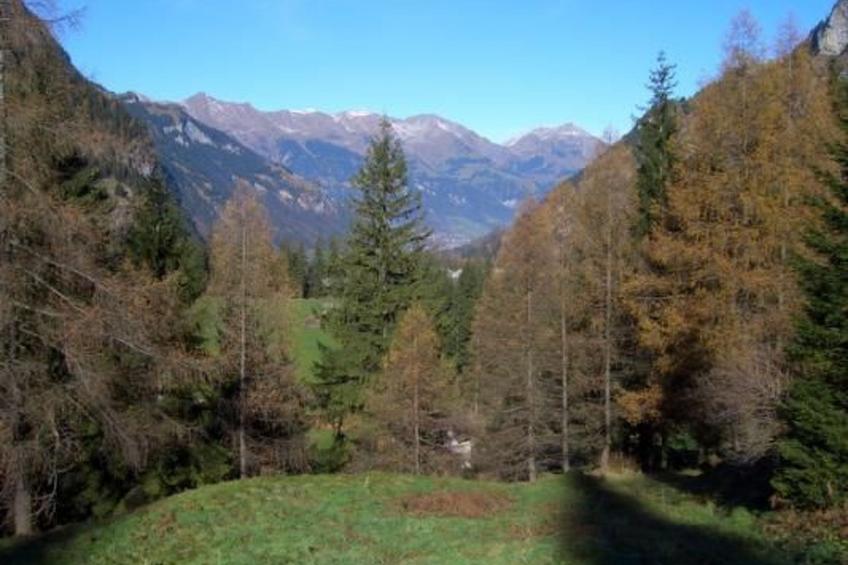 Studio Kanderbrück - foto 19