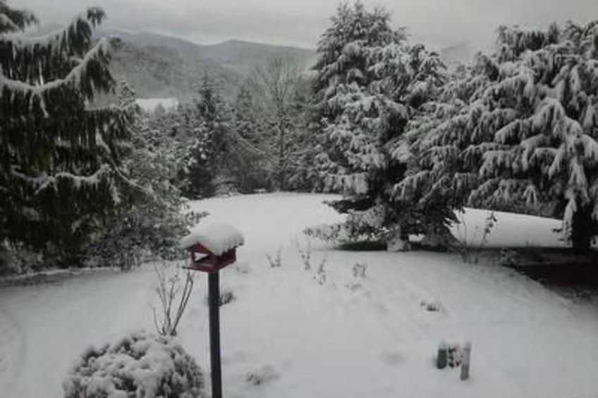 Bellevue mit Große Garten - foto 9