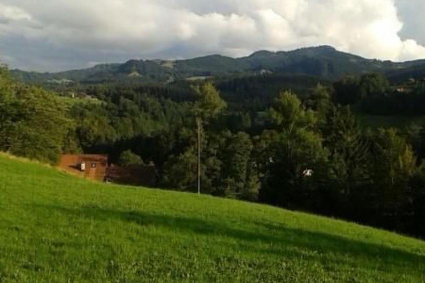 FeWo Südhang - foto 7