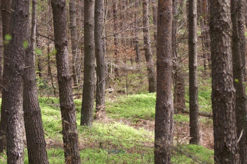 Wohnung du Coucou in Lichtenberg - foto 39