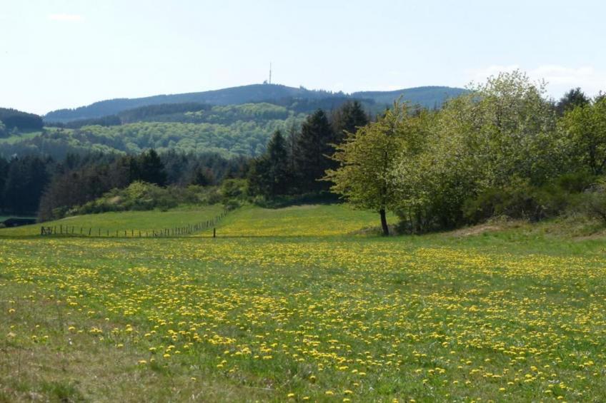 Im Sauerland - foto 33