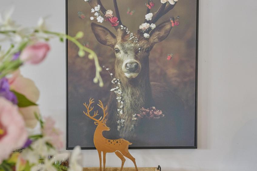 Sur les Thiers - foto 13