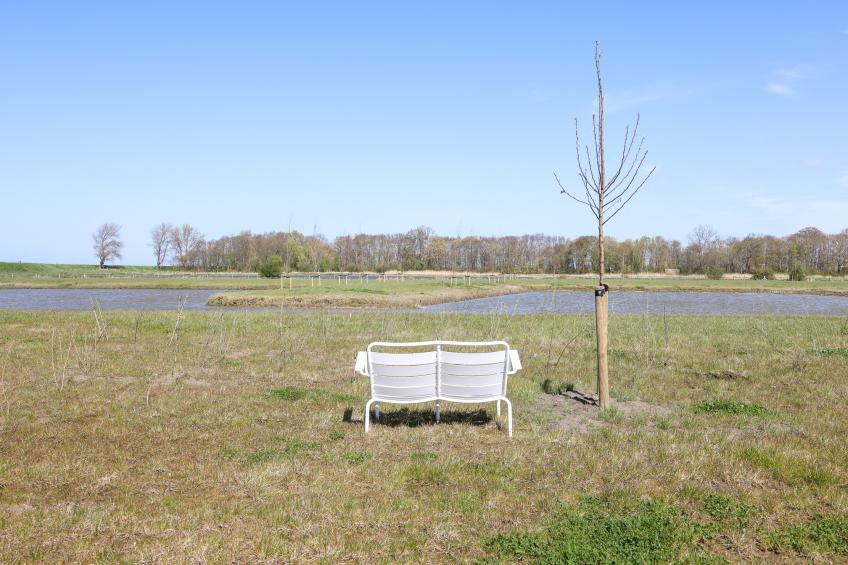 Natuur Oeverzicht - foto 8