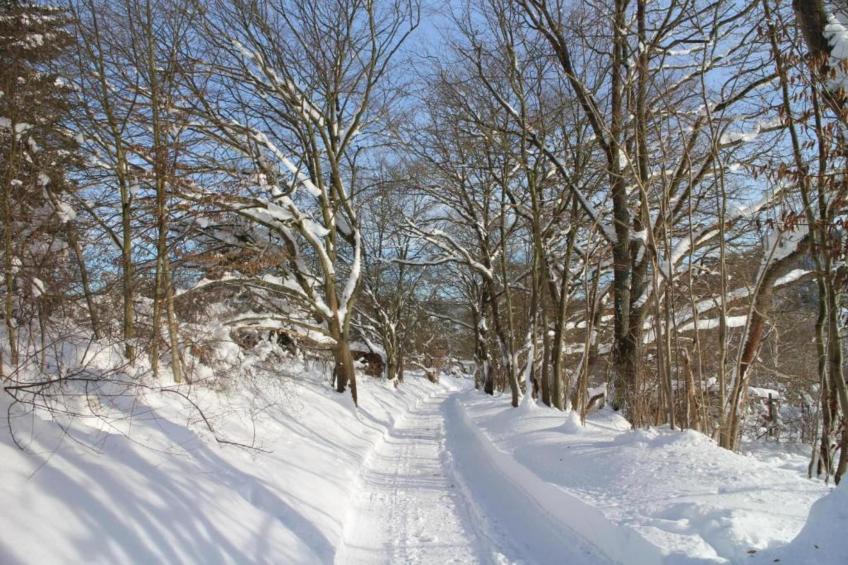 Ferienwohnung Thale - foto 27