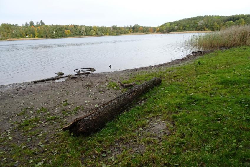 Luxus-Familienappartement / 4 Personen - foto 38