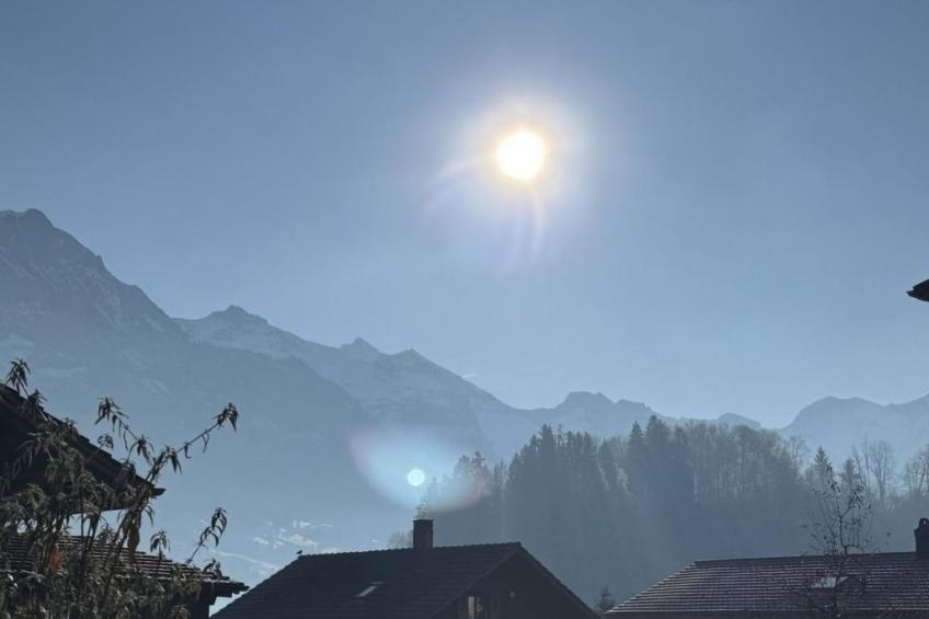 Valley Appartement - foto 8