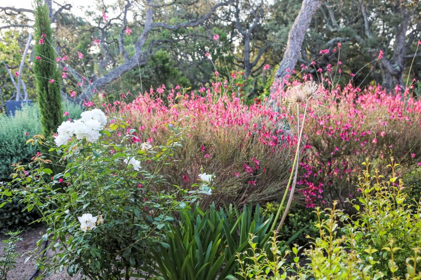 La Cupulatta - foto 23