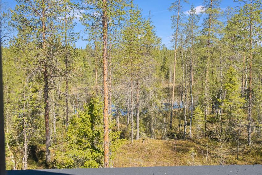 Kiehtäjän lahti - foto 6