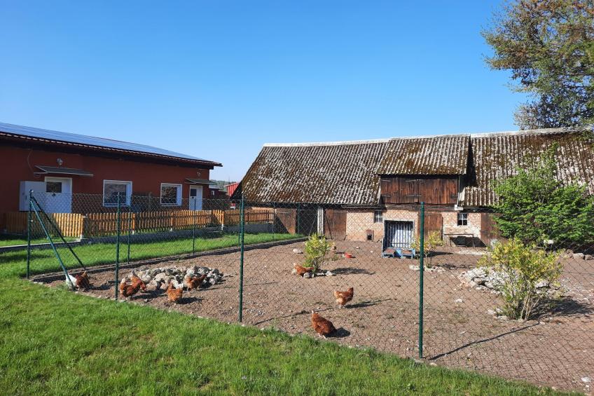 Holiday flat, Mirow - foto 37