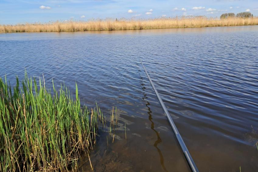 Ferienchalet an der Grenze zwischen Brabant und Zeeland - foto 18