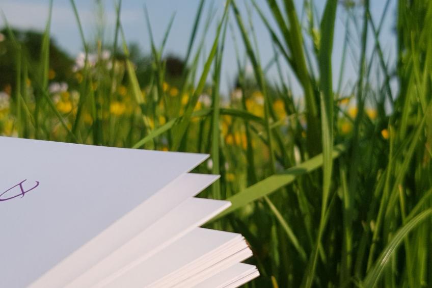 Luxuszeit zu Zweit - foto 37