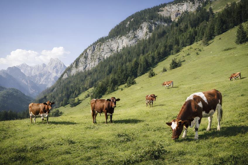 Am Obersalzberg - foto 30