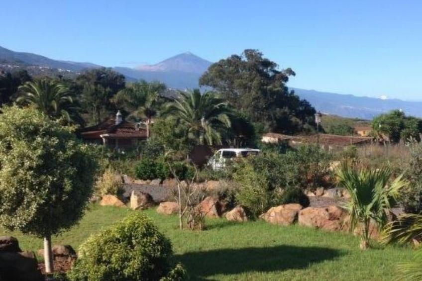 Finca Los Vinedos - foto 20