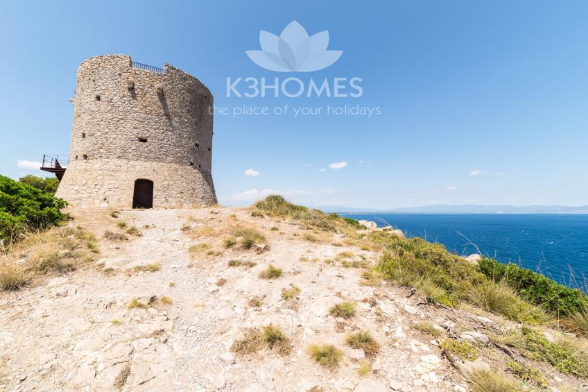 Nomad Harmonia - foto 35