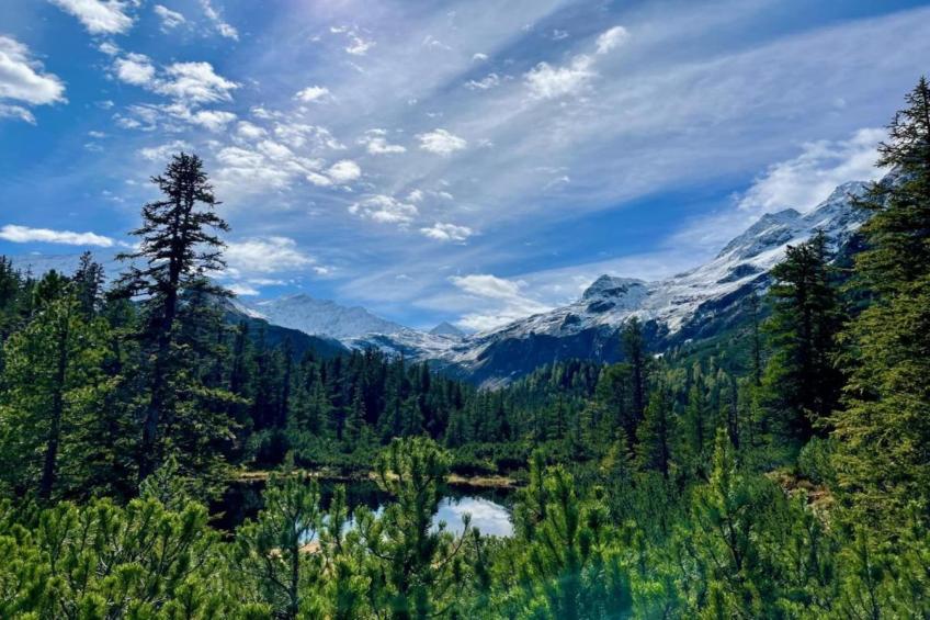 Alpine Lodge XL - foto 28