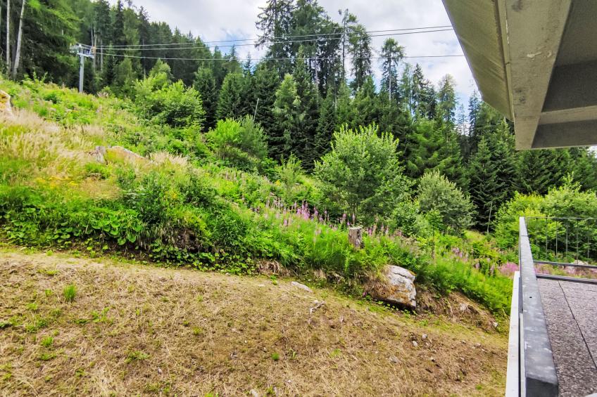 Tra le Piste - foto 9