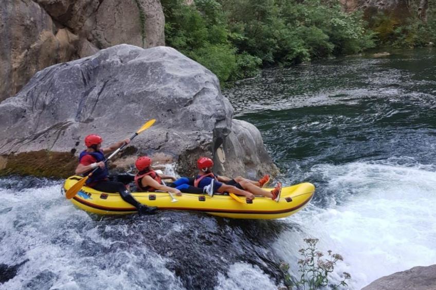 La Finca OliveTree - foto 56