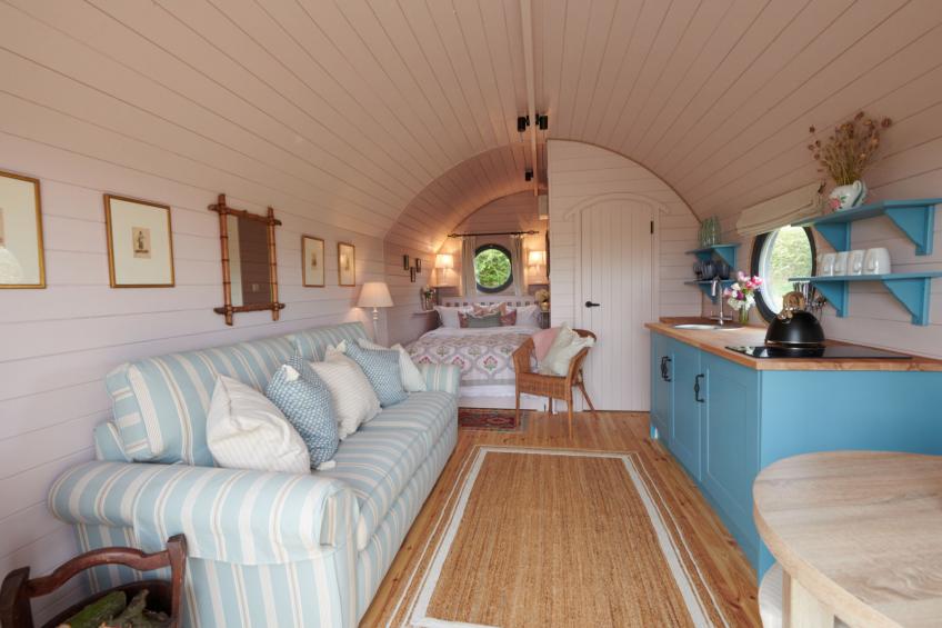 The Cornflower - foto 14