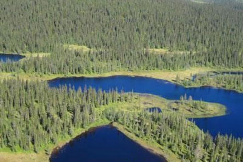 Haus-Lappland - foto 34