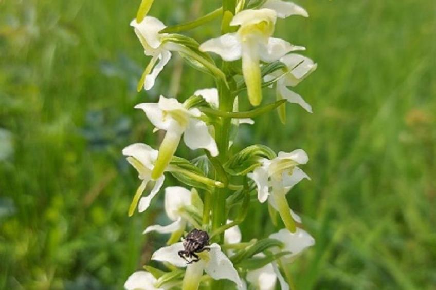 Stadt Apartement - foto 33