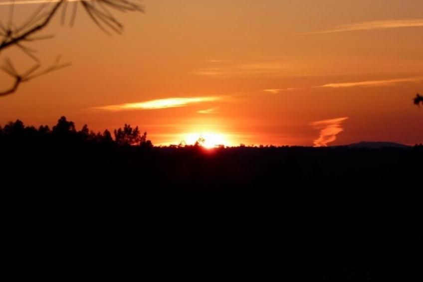 mit Sonnenterrasse und großem Garten - foto 26