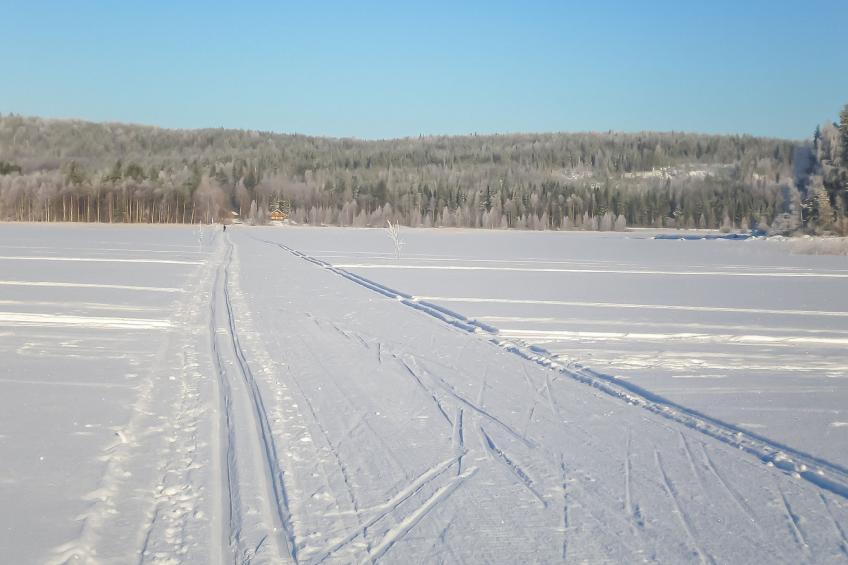 Riutankolo, mustosen lomamökit - foto 23