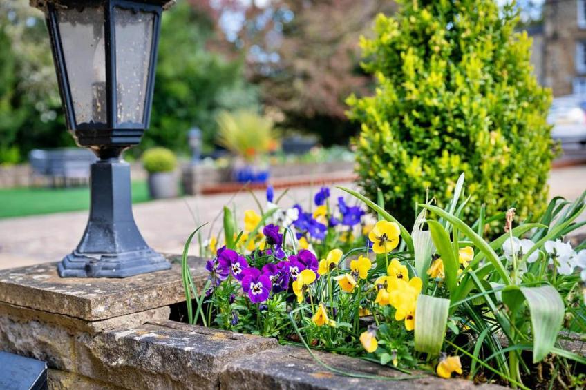 Hambleton Hall Apt - foto 33