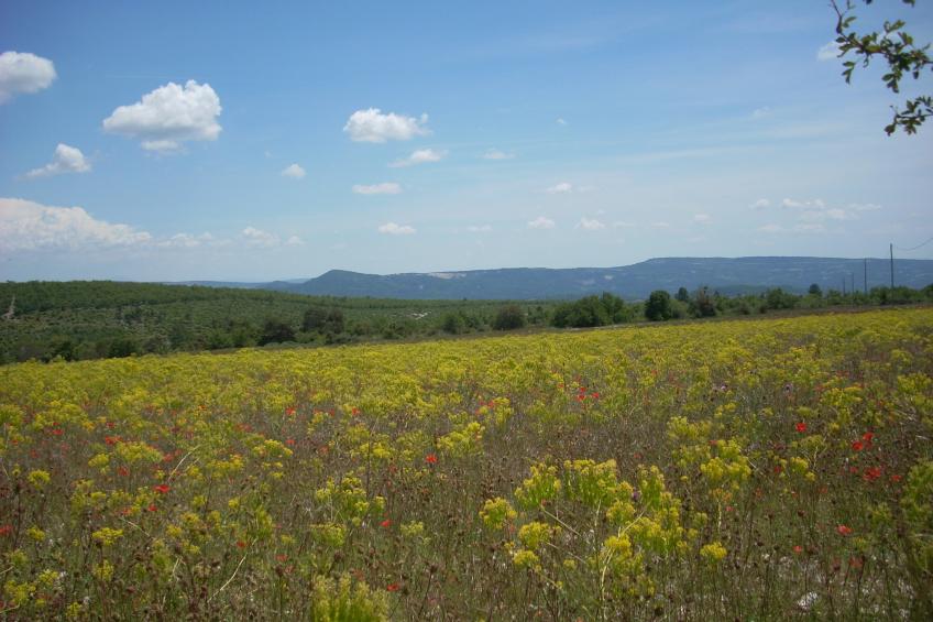 Au château près du Ventoux III - foto 35