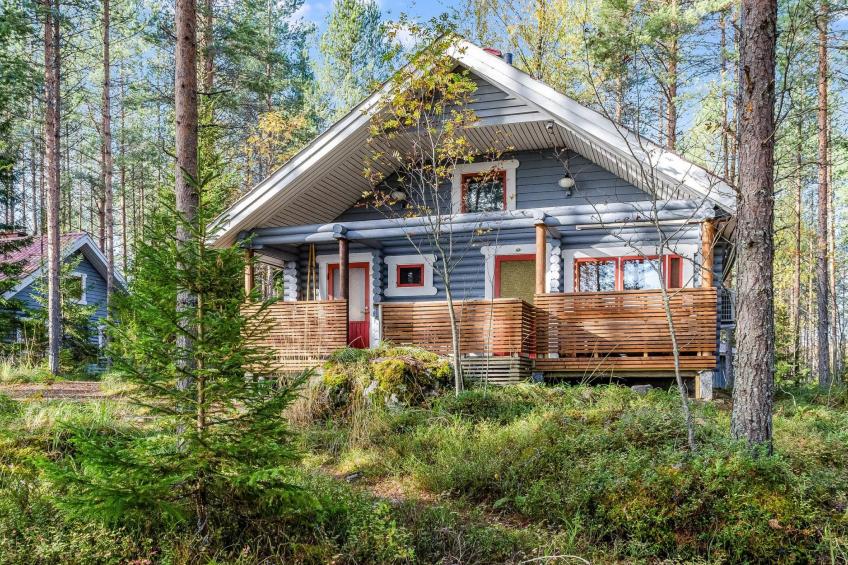 Koli, ulpukka - foto 28