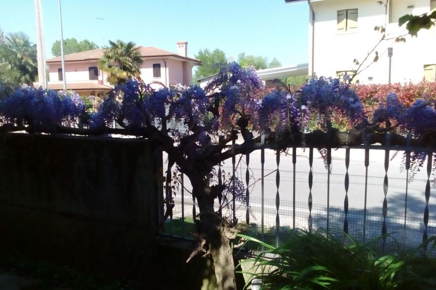 auf einem ummauerten Grundstück - foto 6