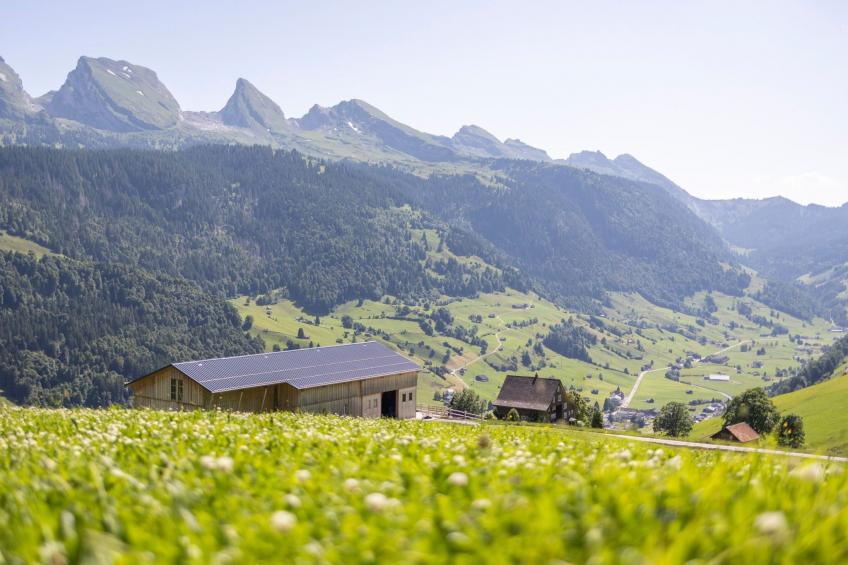 Haldenhof Schwizer - foto 35