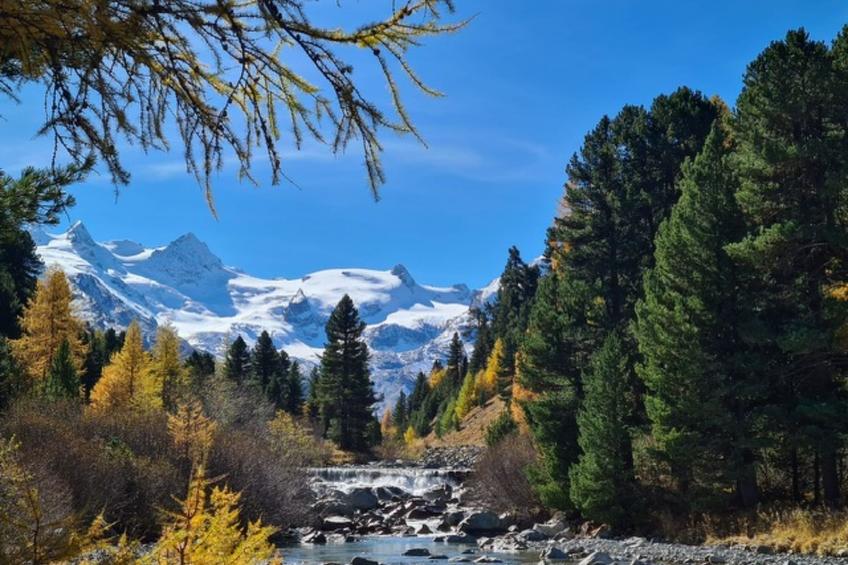 Albula B Chasa Nana, (Bergün/Bravuogn), 232 - foto 49
