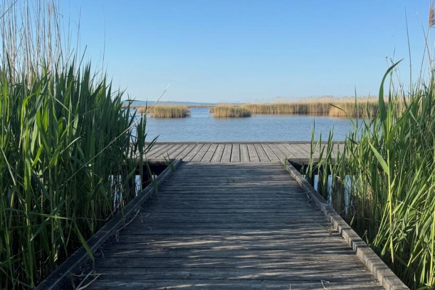 Lakeside Top2 - foto 22