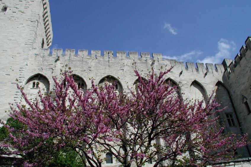 À l'abri du Mistral - foto 30