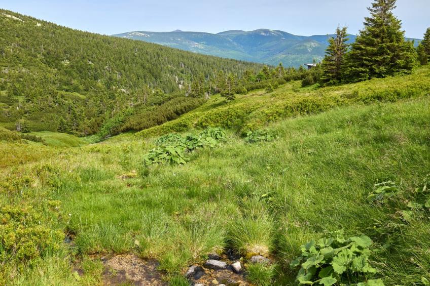 Horní Mísečky - foto 42