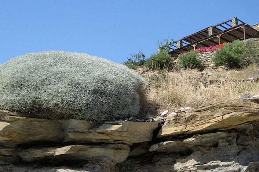 Luxuriöse, ruhige Wohnung direkt am Meer - Privatstrand - foto 56