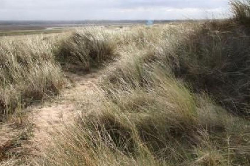 "8883" in Strandnähe - foto 17