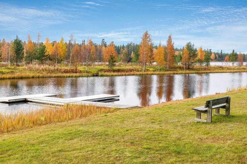 Sallanhelmi c1 - foto 29