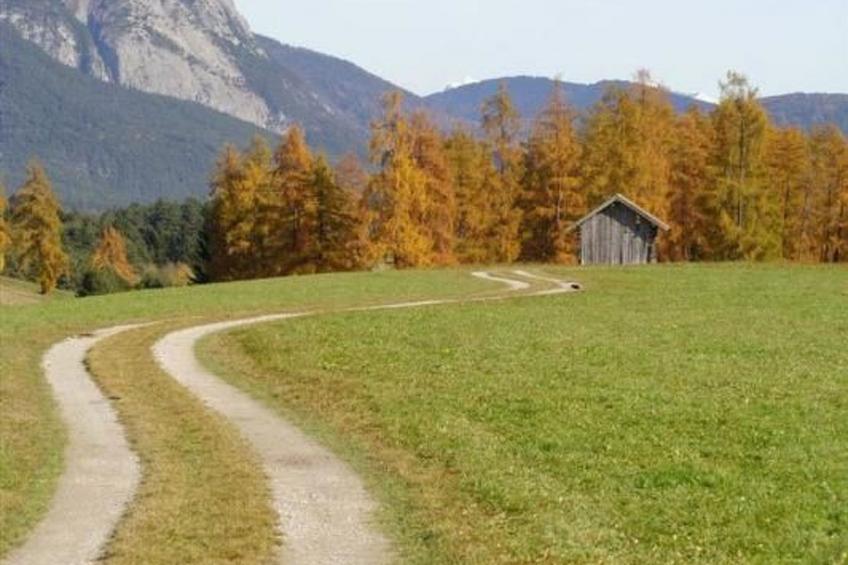 in Wildermieming - foto 10