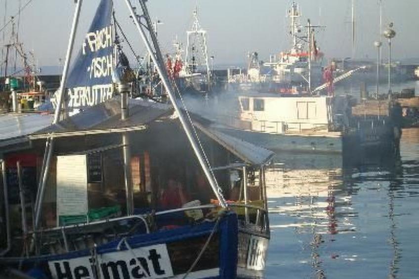 Gorch Fock mit Balkon - foto 11