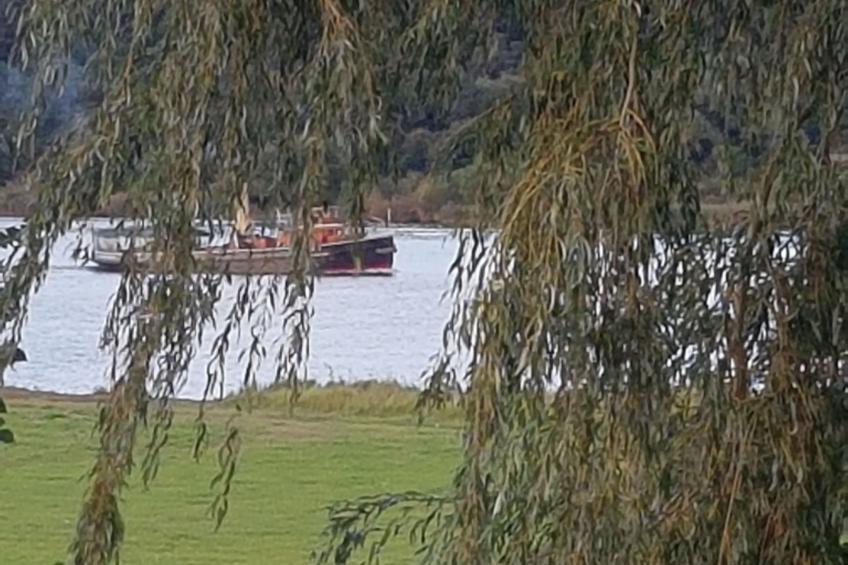 Elbufer 4B - foto 17