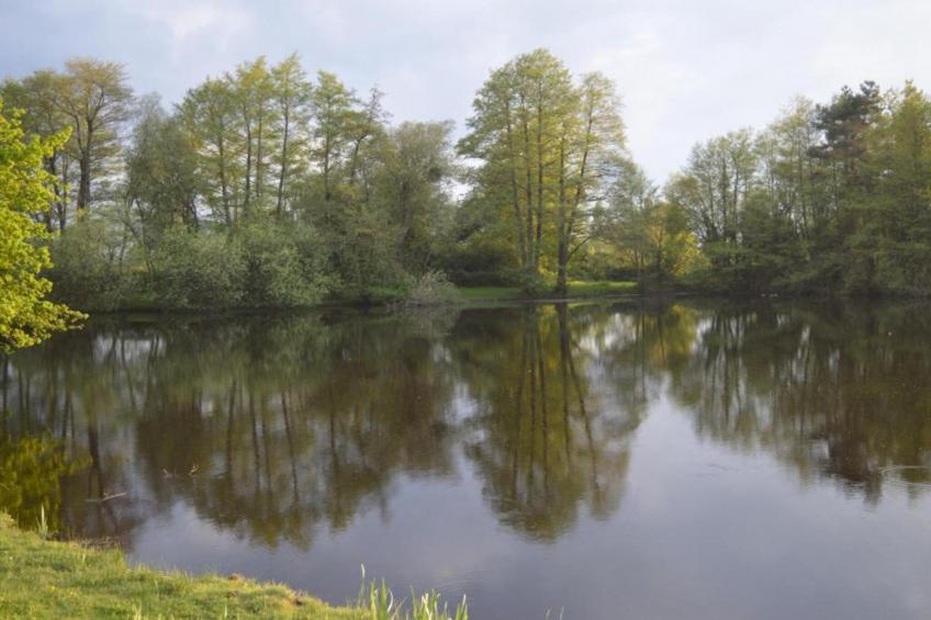 MobilHomme Elegance 3 Chambres - foto 40