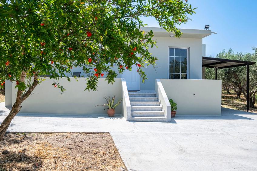 in einem Olivenhain in Strandnähe - foto 23