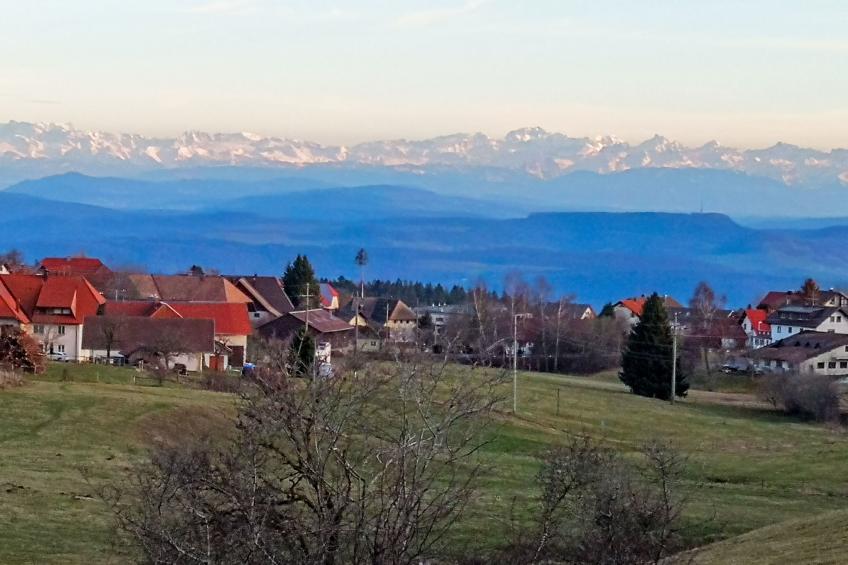 Schwarzwaldhof mit Pool & Sauna - foto 48