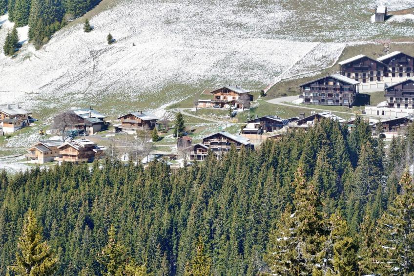 LES SAISIES Les Chalets des Cimes S8L 4 pièces 8 pers. + - foto 15