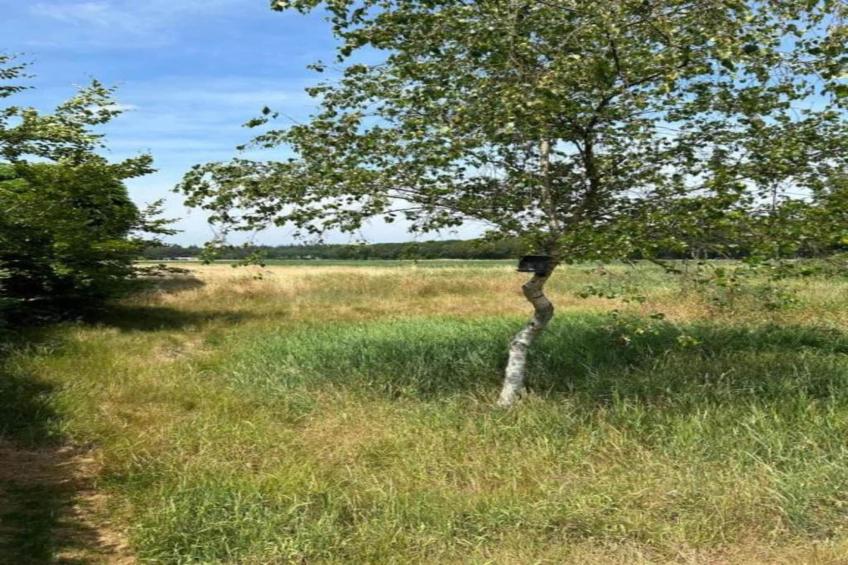 't Landgoed Baars 1 - foto 30